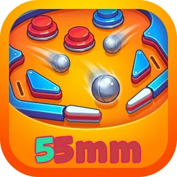 55mm
